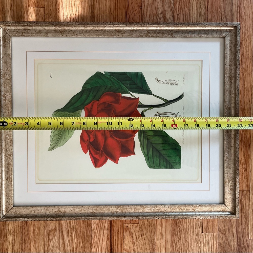 Framed Red botanical Floral Art Print - Picture 7 of 11